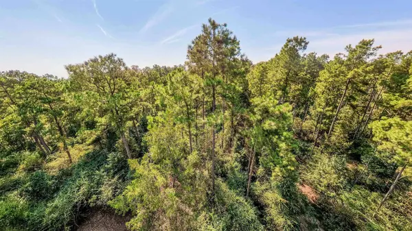 TBD WATER LILY RD, Gilmer, TX 75644
