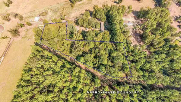 TBD WATER LILY RD, Gilmer, TX 75644