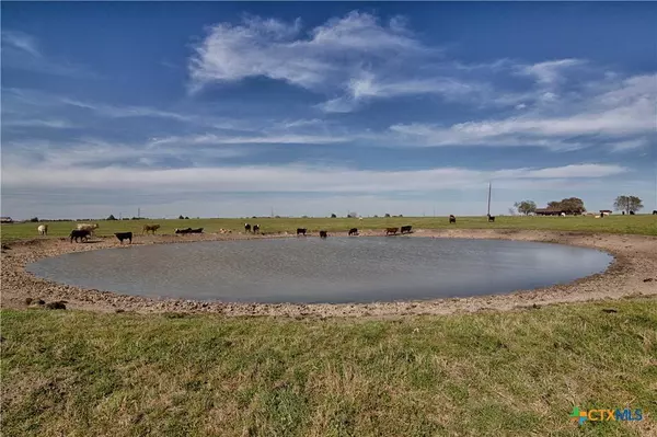 11552 Fm 1383, Schulenburg, TX 78956