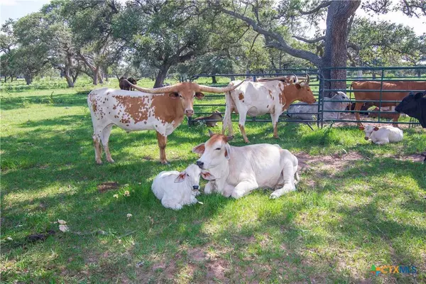 15545 State Highway 111, Yoakum, TX 77995