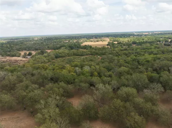 202 County Road 142b, Sublime, TX 77986