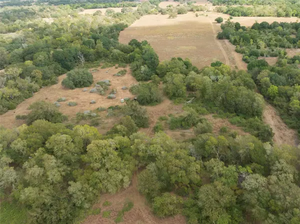 202 County Road 142b, Sublime, TX 77986