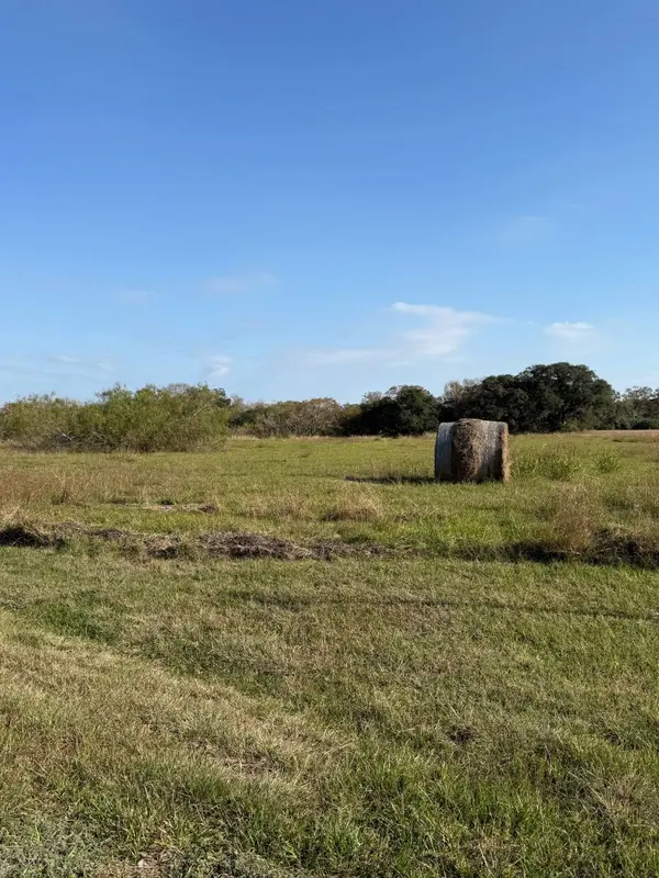 000 River Hollow WAY, Blessing, TX 77419