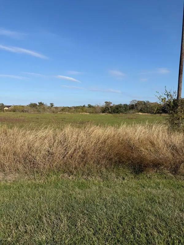 000 River Hollow WAY, Blessing, TX 77419