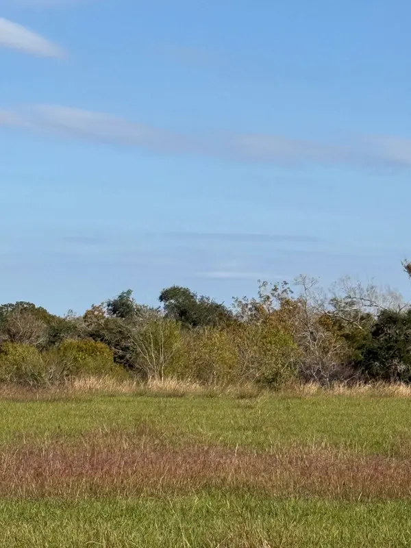 000 River Hollow WAY, Blessing, TX 77419