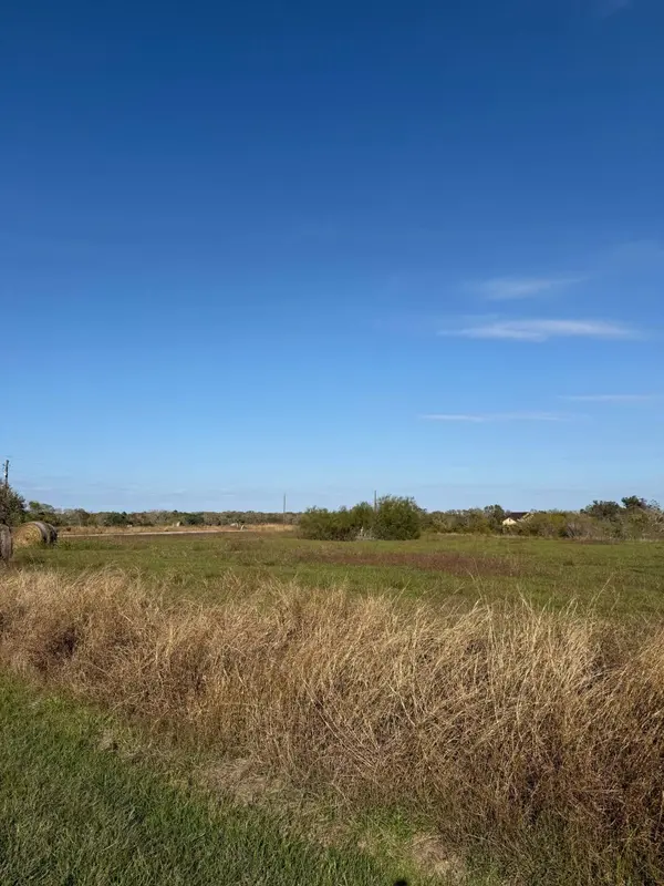 000 River Hollow WAY, Blessing, TX 77419