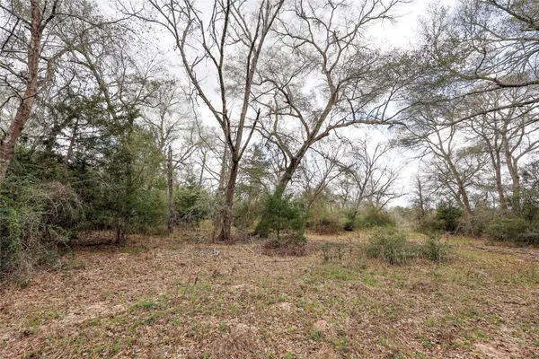 TBD CR 132, Hallettsville, TX 77964
