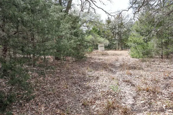 TBD CR 132, Hallettsville, TX 77964