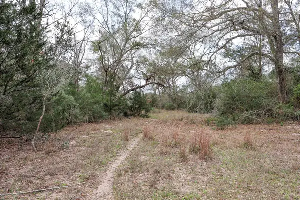 TBD CR 132, Hallettsville, TX 77964
