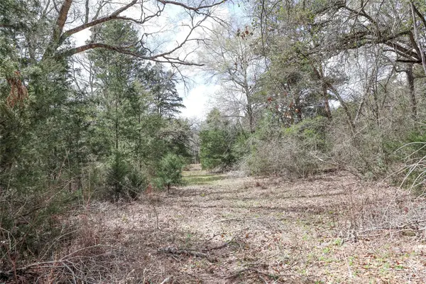 TBD CR 132, Hallettsville, TX 77964