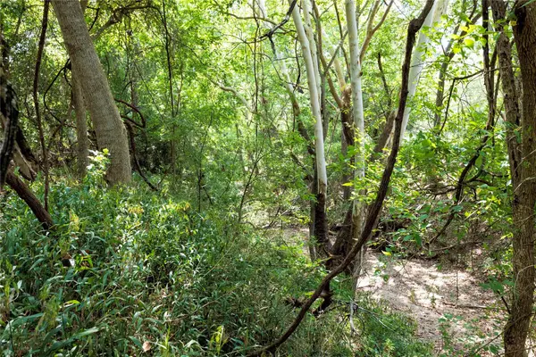 710 County Road 211a, Hallettsville, TX 77964