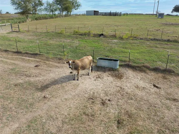 TBD County Road 175, Hallettsville, TX 77964