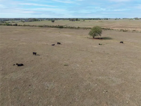 TBD County Road 175, Hallettsville, TX 77964