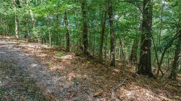 Lot 13 & 14 Chelmsworth Dr, Bella Vista, AR 72715