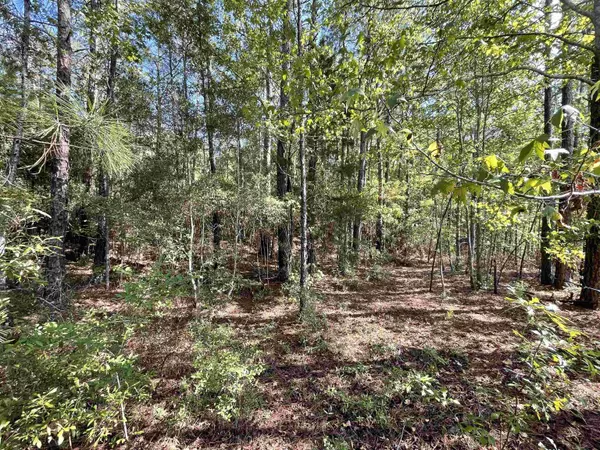 4630 Hwy 96 N, Jasper, TX 75951