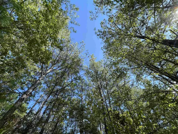 4630 Hwy 96 N, Jasper, TX 75951