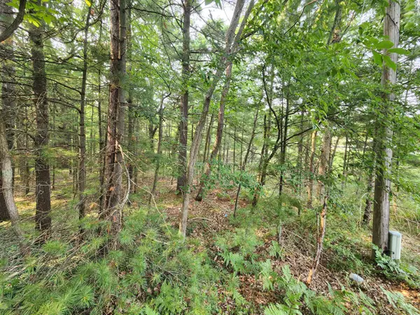 2400 Maple Road, Manistee, MI 49660