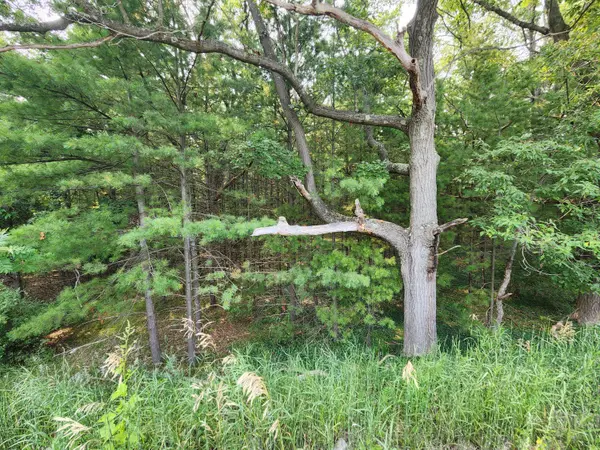 2400 Maple Road, Manistee, MI 49660