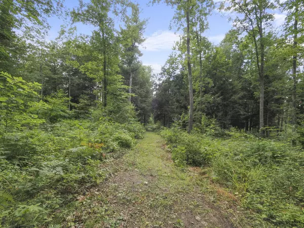 9699 Coates Highway, Manistee, MI 49660