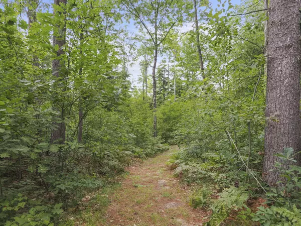 9699 Coates Highway, Manistee, MI 49660