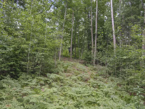 9699 Coates Highway, Manistee, MI 49660