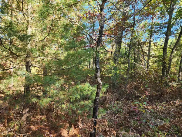 259 S Baker Road, Wellston, MI 49689