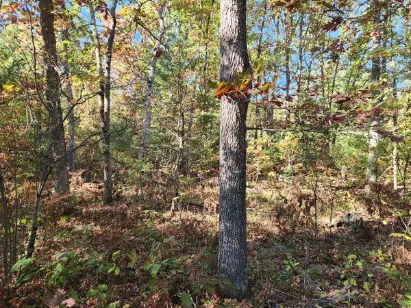 259 S Baker Road, Wellston, MI 49689