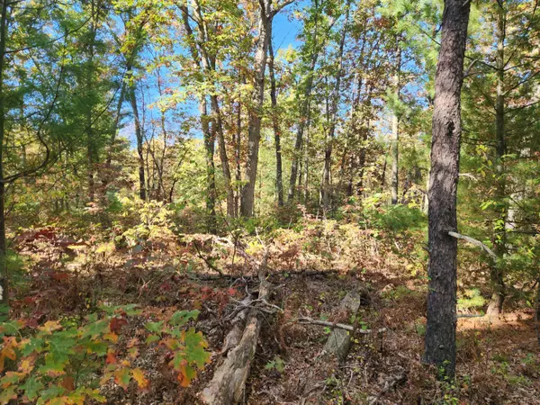 259 S Baker Road, Wellston, MI 49689