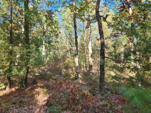 259 S Baker Road, Wellston, MI 49689