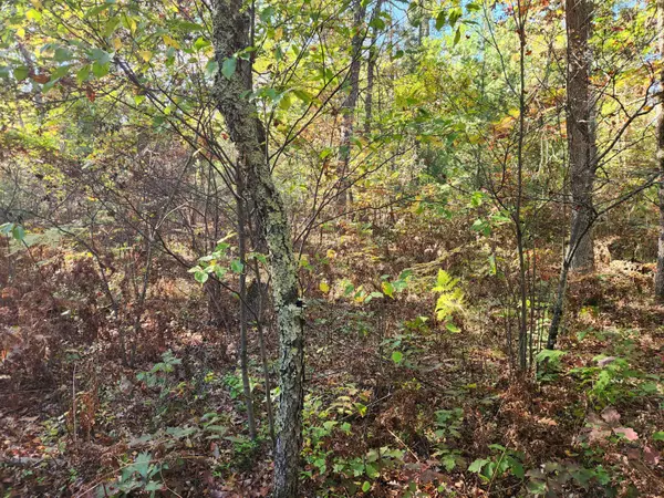 259 S Baker Road, Wellston, MI 49689