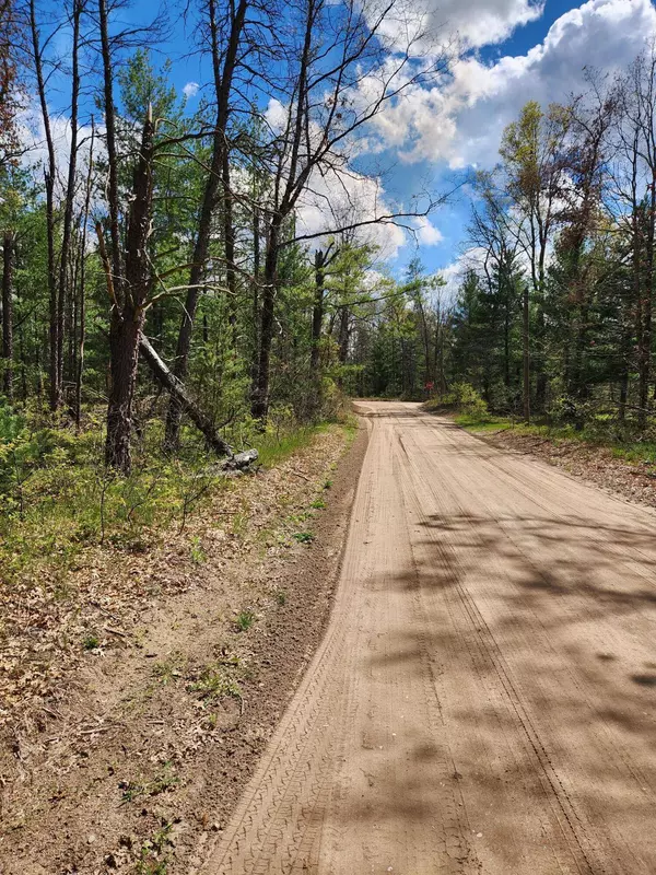 8950 S Chatman Street, Idlewild, MI 49642