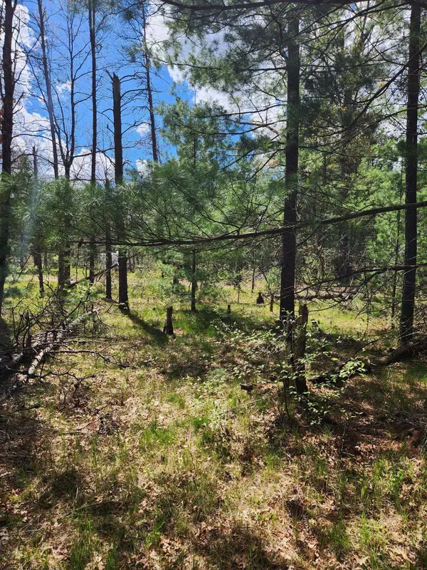 8950 S Chatman Street, Idlewild, MI 49642