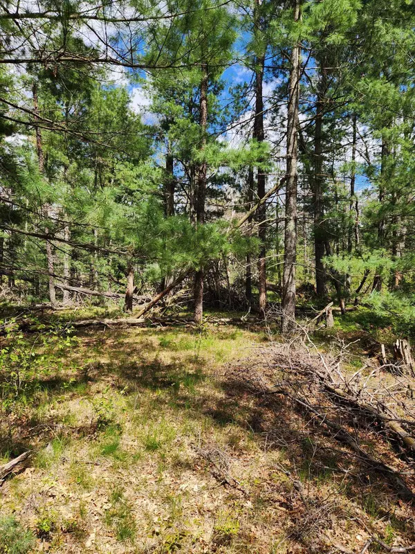 8950 S Chatman Street, Idlewild, MI 49642