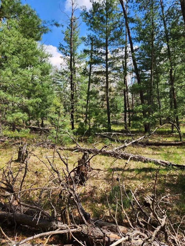 8950 S Chatman Street, Idlewild, MI 49642