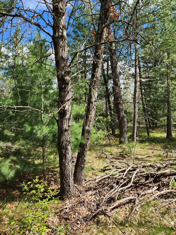 8950 S Chatman Street, Idlewild, MI 49642