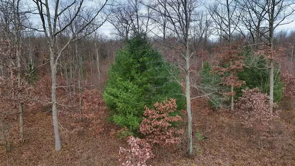 3728 N Custer Road, Manistee, MI 49660