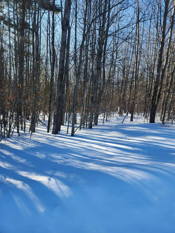 W Starlight Ridge Circle #62, Onekama, MI 49675