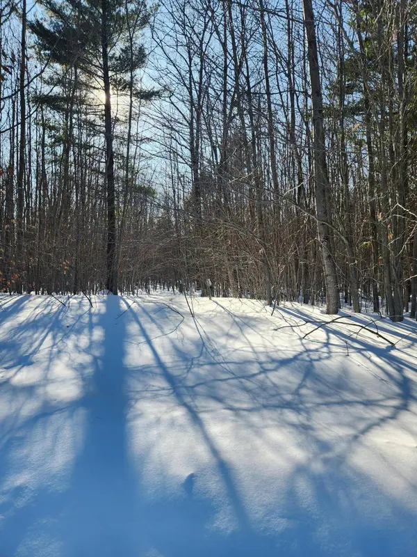 W Starlight Ridge Circle #62, Onekama, MI 49675