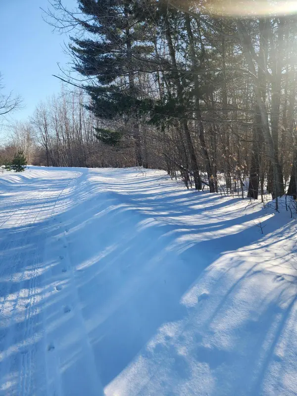 W Starlight Ridge Circle #62, Onekama, MI 49675