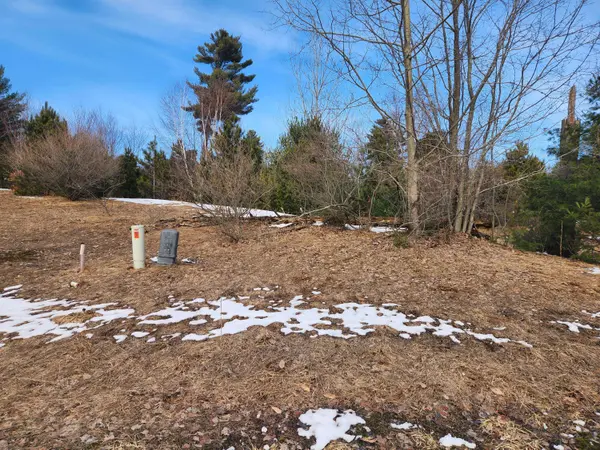Vacant E Starlight Rdg Circle #58, Onekama, MI 49675