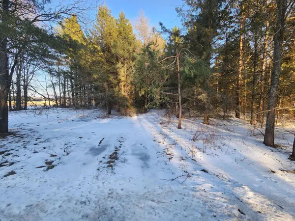2600 S Scottville Road, Scottville, MI 49454