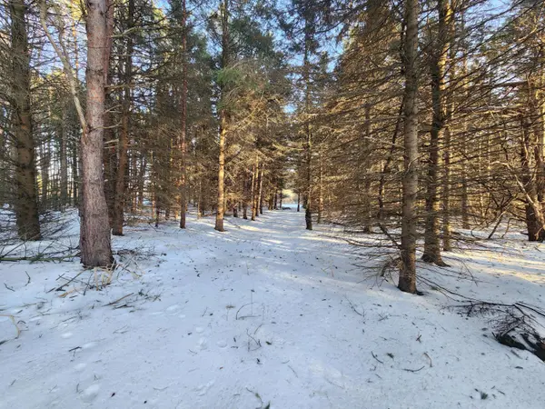 2600 S Scottville Road, Scottville, MI 49454