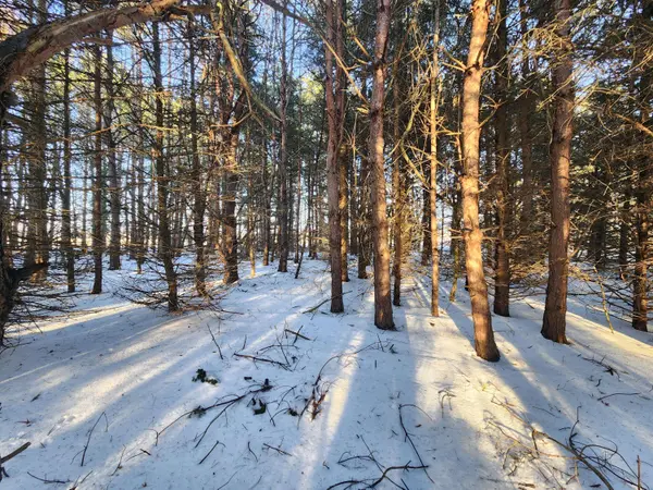 2600 S Scottville Road, Scottville, MI 49454