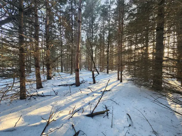 2600 S Scottville Road, Scottville, MI 49454