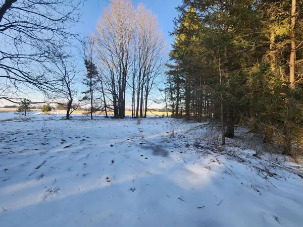 2600 S Scottville Road, Scottville, MI 49454