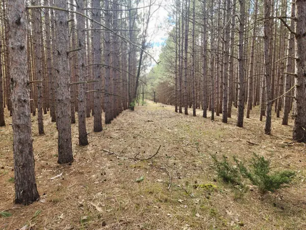 2398 Bittersweet Drive, Manistee, MI 49660