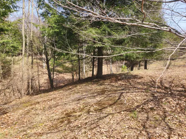 N Slope Drive #93, Onekama, MI 49675