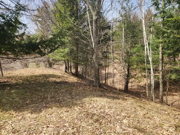 N Slope Drive #93, Onekama, MI 49675