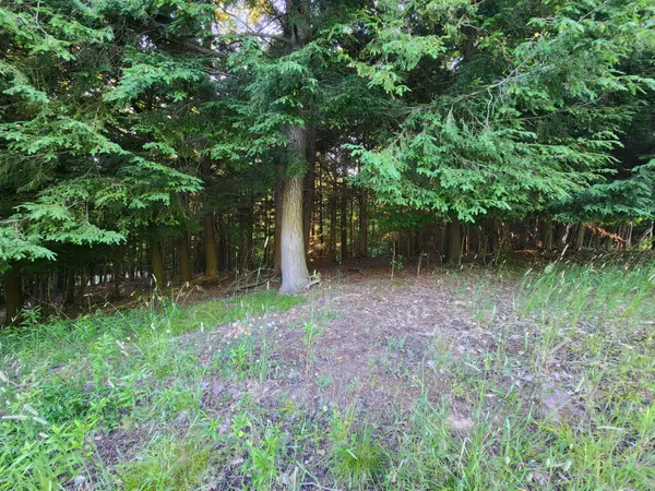 9500 Moon Ridge Road #83, Onekama, MI 49675