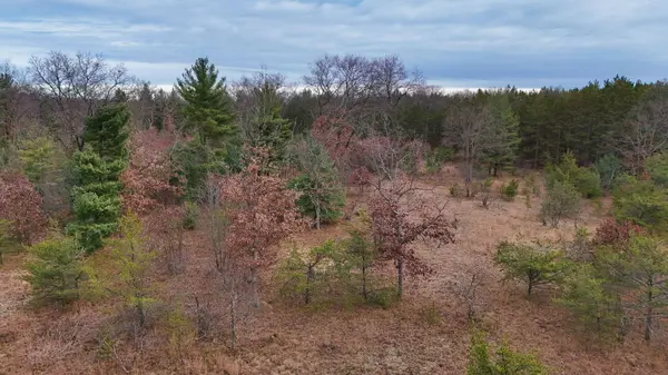 3728 N Custer Road, Manistee, MI 49660